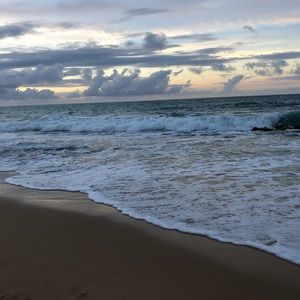 Meet your Posher, Ty